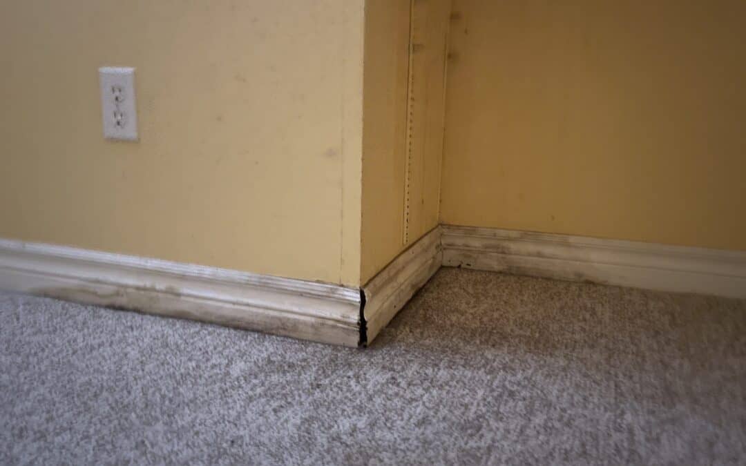 The Basics on Damage Baseboards